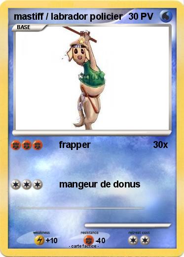 Pokemon mastiff / labrador policier