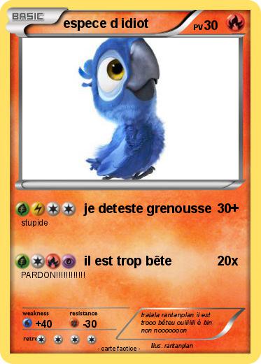 Pokemon espece d idiot