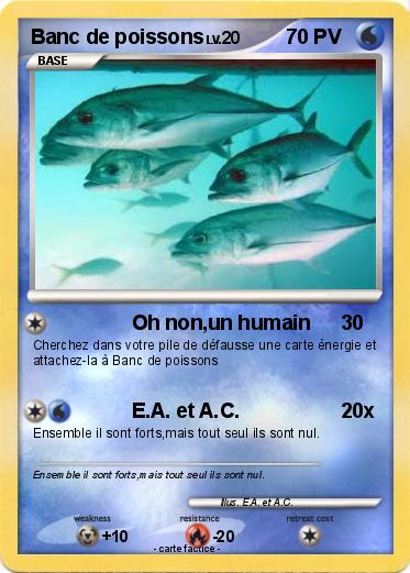 Pokemon Banc de poissons