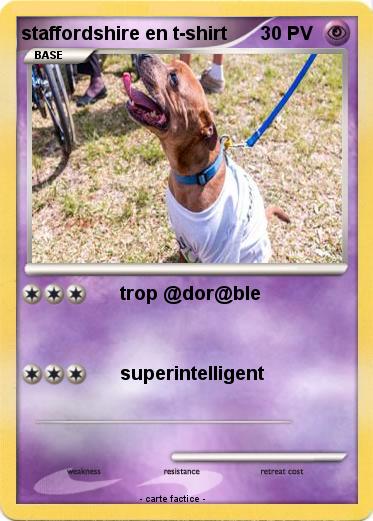 Pokemon staffordshire en t-shirt