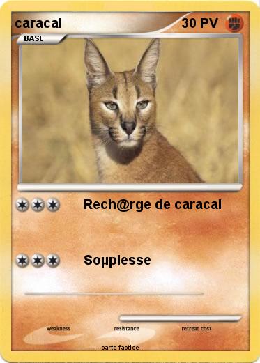Pokemon caracal