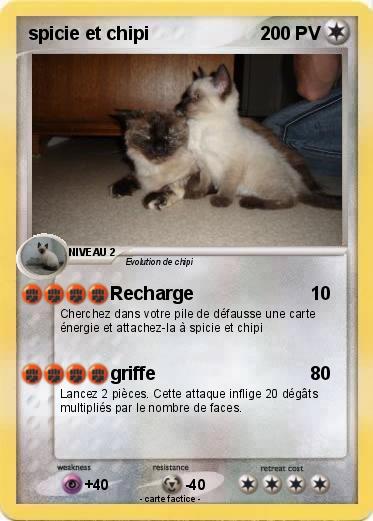 Pokemon spicie et chipi