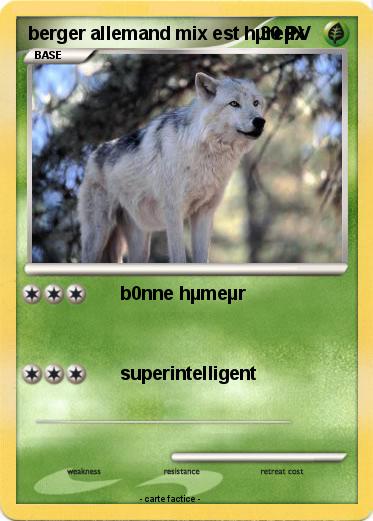 Pokemon berger allemand mix est hµreµx