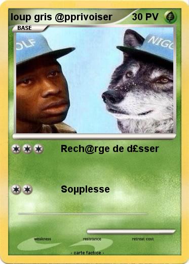 Pokemon loup gris @pprivoiser