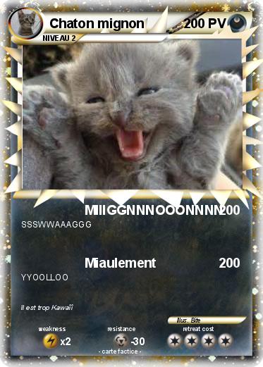 Pokemon Chaton mignon