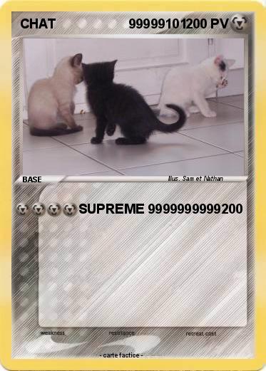 Pokemon CHAT                    99999101