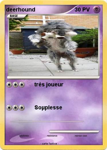 Pokemon deerhound