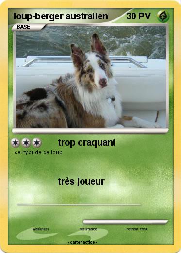 Pokemon loup-berger australien