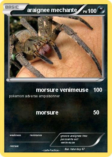 Pokemon araignee mechante