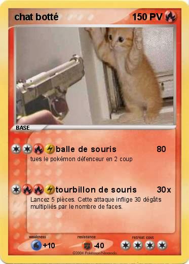 Pokemon chat botté