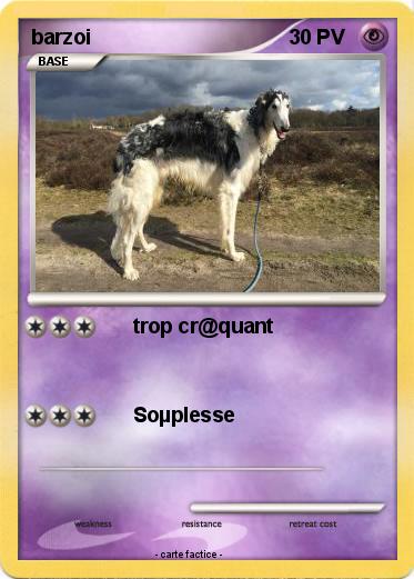 Pokemon barzoi