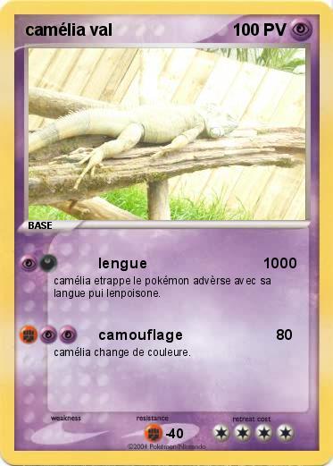 Pokemon camélia val                                            