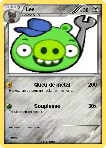 Pokemon Lee