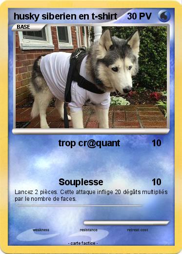 Pokemon husky siberien en t-shirt