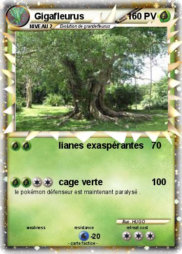 Pokemon Gigafleurus