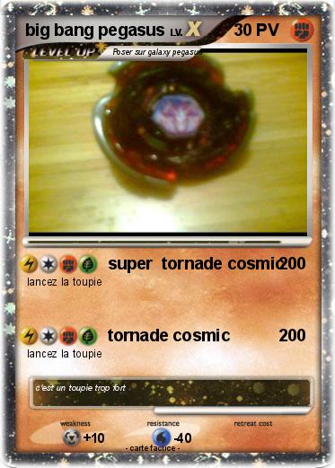 Pokemon big bang pegasus