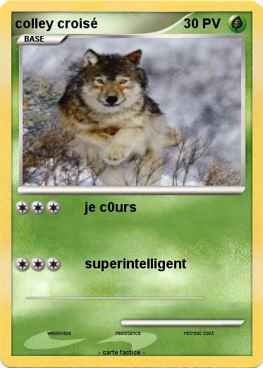 Pokemon colley croisé