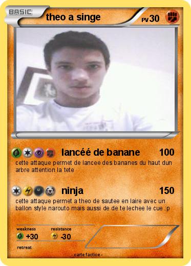 Pokemon theo a singe