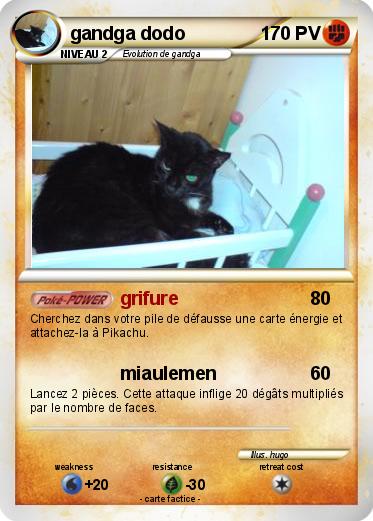 Pokemon gandga dodo