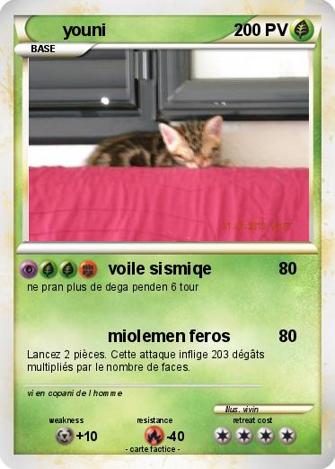 Pokemon youni