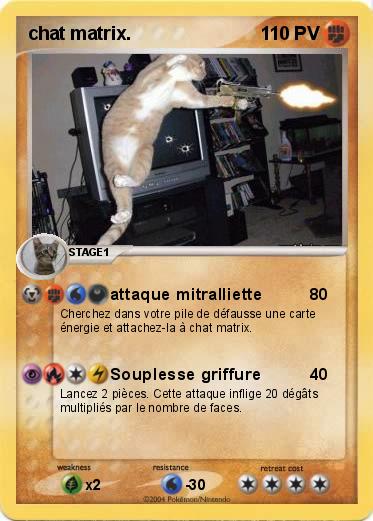 Pokemon chat matrix.