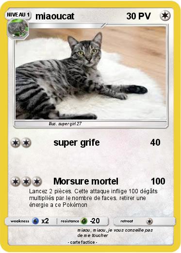 Pokemon miaoucat