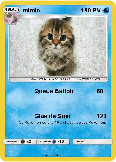 Pokemon mimio