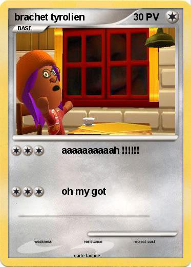 Pokemon brachet tyrolien