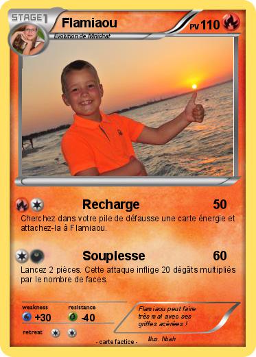 Pokemon Flamiaou
