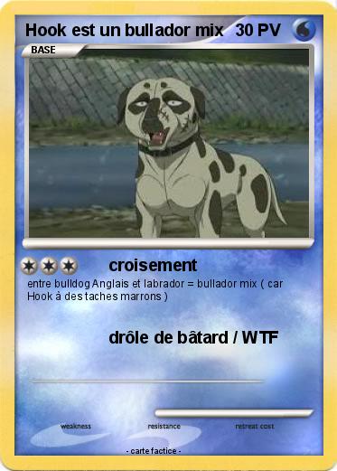 Pokemon Hook est un bullador mix