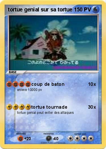 Pokemon tortue genial sur sa tortue
