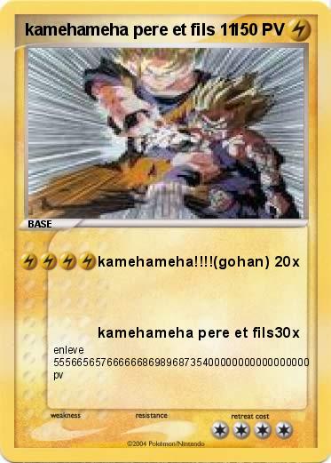 Pokemon kamehameha pere et fils 11