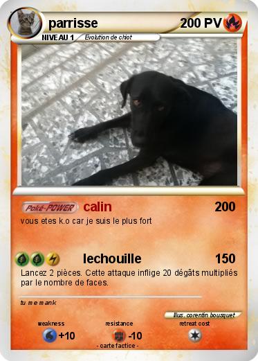 Pokemon parrisse