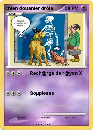 Pokemon chien douanier drôle