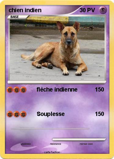 Pokemon chien indien