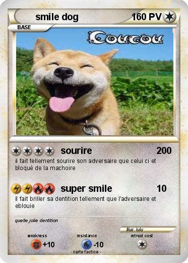 Pokemon smile dog