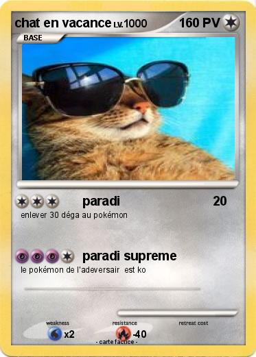 Pokemon chat en vacance