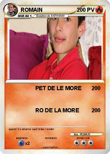 Pokemon ROMAIN