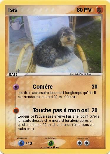 Pokemon Isis