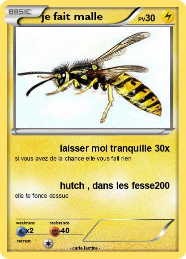 Pokemon je fait malle