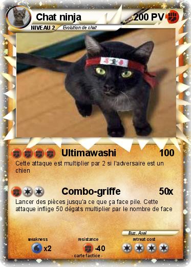 Pokemon Chat ninja
