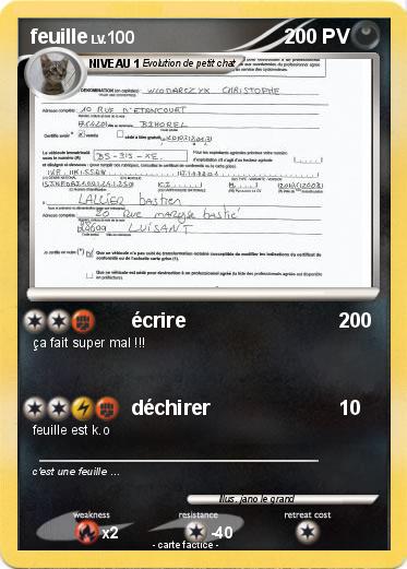 Pokemon feuille