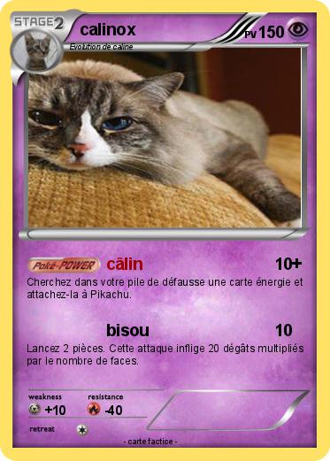 Pokemon calinox