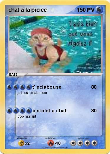 Pokemon chat a la picice