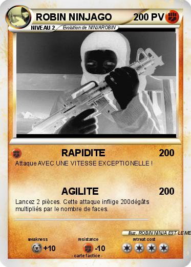 Pokemon ROBIN NINJAGO