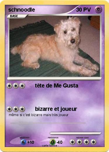 Pokemon schnoodle