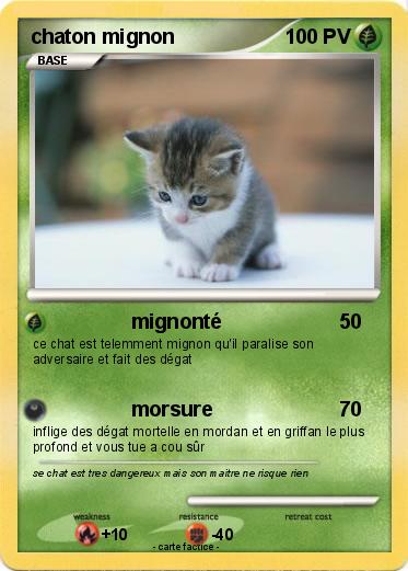 Pokemon chaton mignon