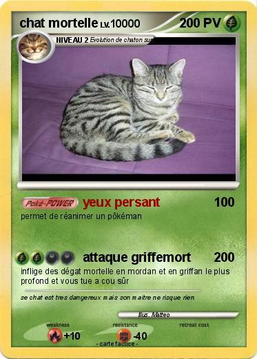 Pokemon chat mortelle