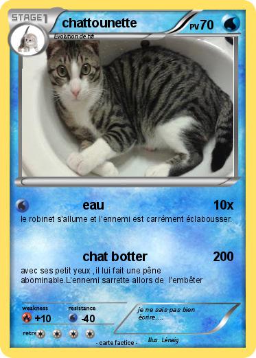 Pokemon chattounette
