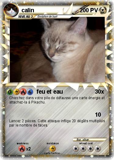 Pokemon calin